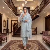 Cotton Net Embroidery Suit MS-843 – Elegant 2-Piece Suit | Markaz Silk